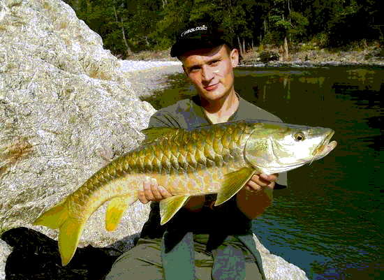 fishing in river hotel