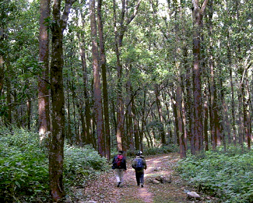 Corbett Reserve